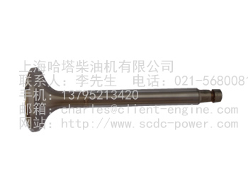 MTU SPARE PARTS-11214183716|exhaust valve