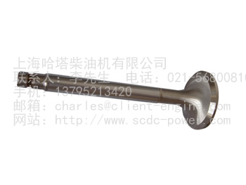 MTU SPARE PARTS-112142416|exhaust valve