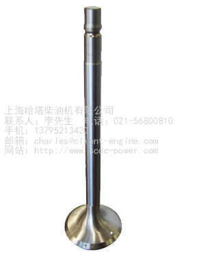 MTU SPARE PARTS-53010481816|Inlet valve